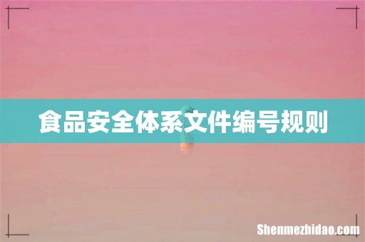 食品安全体系文件编号规则