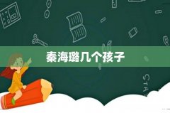 秦海璐几个孩子