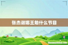 张杰谢娜王勉什么节目