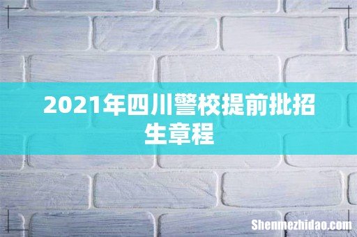 2021年四川警校提前批招生章程