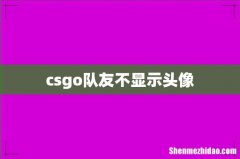 csgo队友不显示头像