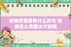 杨梅放蜜糖有什么好处 杨梅怎么煮糖水才好喝