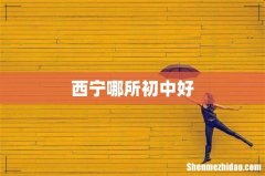 西宁哪所初中好