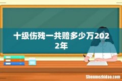 十级伤残一共赔多少万2022年