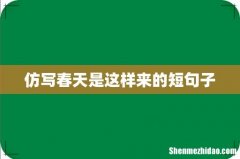 仿写春天是这样来的短句子