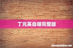丁元英自嘲完整版