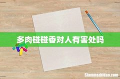 多肉碰碰香对人有害处吗