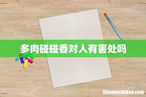 多肉碰碰香对人有害处吗