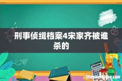 刑事侦缉档案4宋家齐被谁杀的