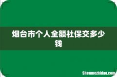 烟台市个人全额社保交多少钱