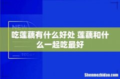 吃莲藕有什么好处 莲藕和什么一起吃最好