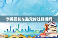 李英爱和车胜元传过绯闻吗
