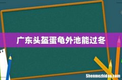 广东头盔蛋龟外池能过冬