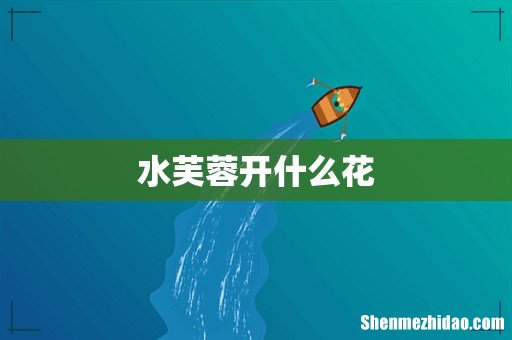 水芙蓉开什么花