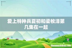 爱上特种兵夏初和梁牧泽第几集在一起