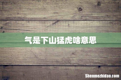 气是下山猛虎啥意思