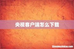 央视客户端怎么下载