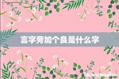 言字旁加个良是什么字