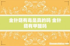 金针菇有毒是真的吗 金针菇有甲醛吗