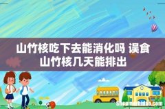 山竹核吃下去能消化吗 误食山竹核几天能排出
