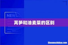 莴笋和油麦菜的区别