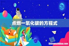 点燃一氧化碳的方程式