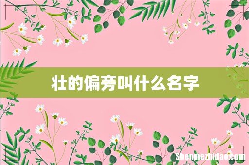壮的偏旁叫什么名字