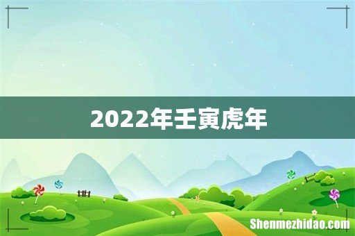 2022年壬寅虎年