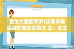 还有没有完结的重生军旅文 注：女主要是军人 重生之重圆军梦
