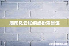 魔都风云张绍峰扮演是谁