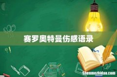 赛罗奥特曼伤感语录