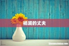 杨澜的丈夫