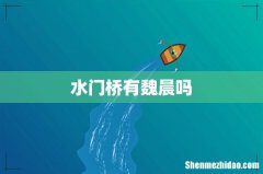 水门桥有魏晨吗