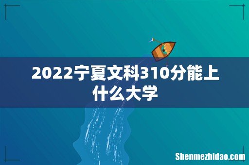 2022宁夏文科310分能上什么大学