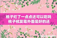 桃子烂了一点点还可以吃吗 桃子核发霉外面是好的还能吃吗