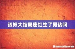 孩奴大结局唐红生了男孩吗