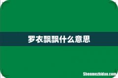 罗衣飘飘什么意思