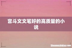 宫斗文文笔好的高质量的小说