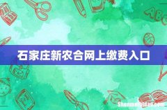石家庄新农合网上缴费入口