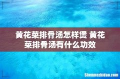 黄花菜排骨汤怎样煲 黄花菜排骨汤有什么功效