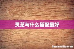 灵芝与什么搭配最好