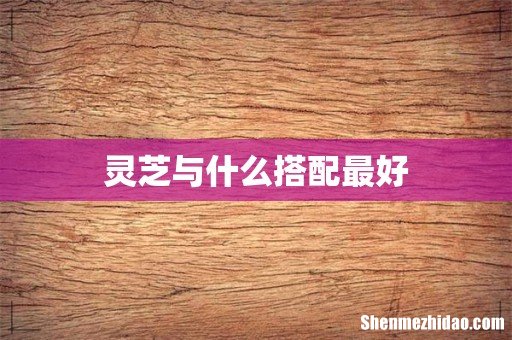 灵芝与什么搭配最好