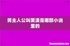 男主人公叫萧潇是哪部小说里的