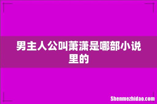 男主人公叫萧潇是哪部小说里的