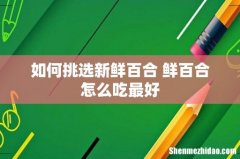 如何挑选新鲜百合 鲜百合怎么吃最好