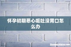 怀孕初期恶心呕吐没胃口怎么办