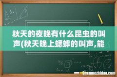 秋天晚上蟋蟀的叫声,能用什么拟声词？ 秋天的夜晚有什么昆虫的叫声