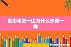 夏雨和张一山为什么长得一样