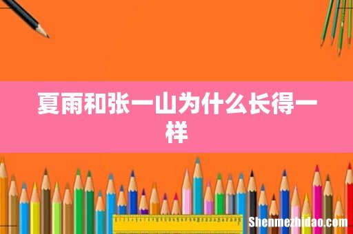 夏雨和张一山为什么长得一样