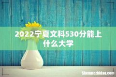2022宁夏文科530分能上什么大学